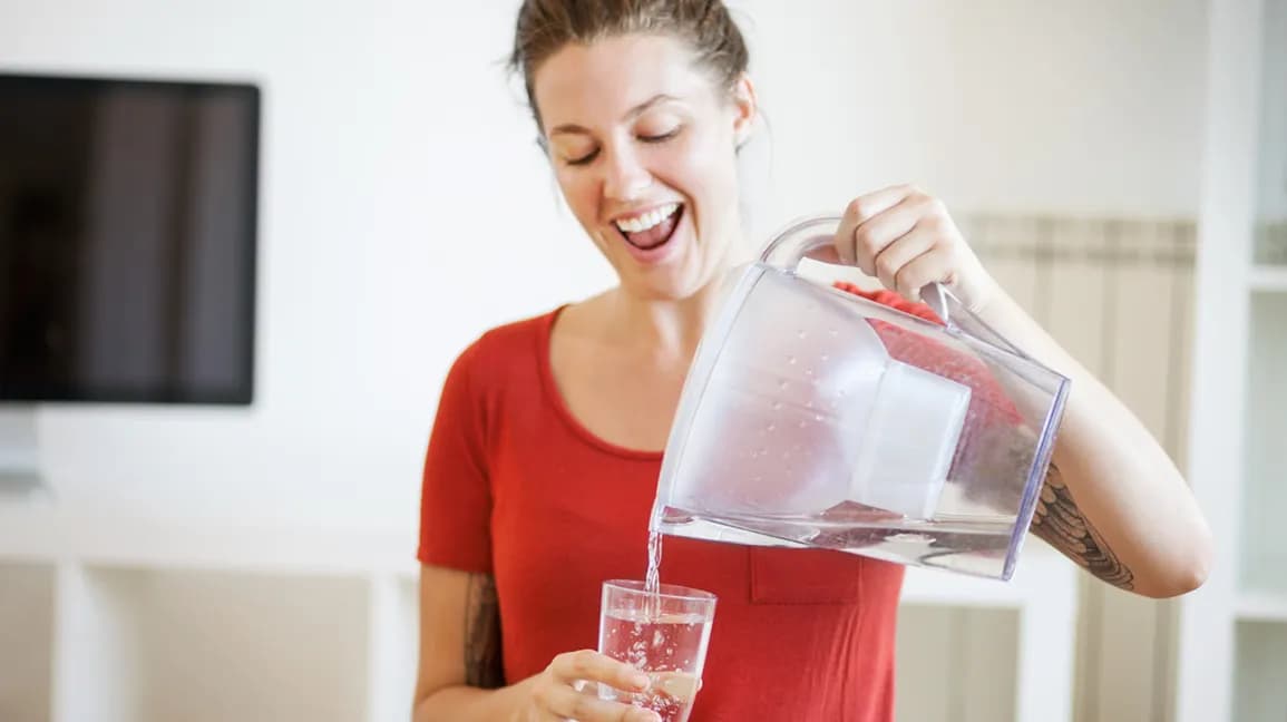 brita vs pur