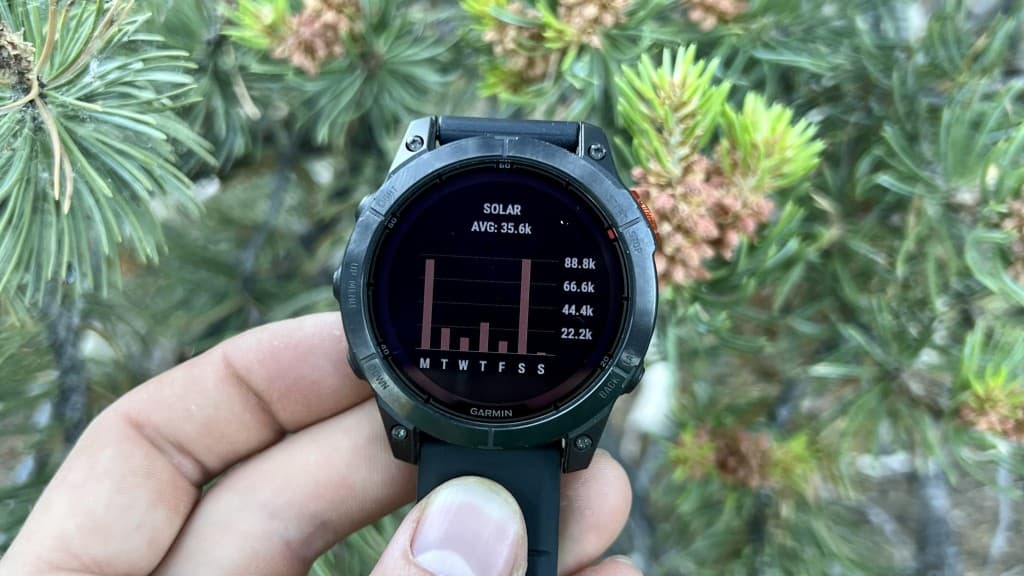 GPS Tracker Hund: Einfacher geht’s nicht – Spotter sorgt für die perfekte Hundesicherung