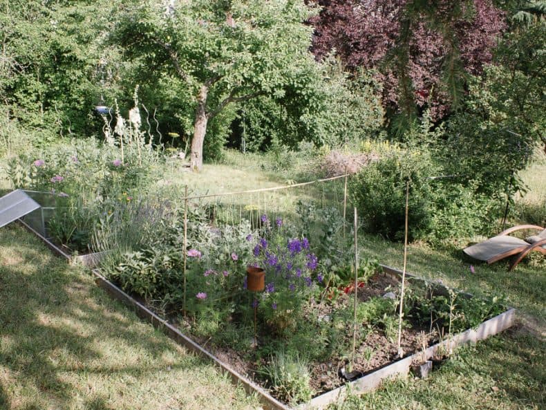Natürlich Wohnen: Der Garten-Blog für harmonische Rückzugsorte