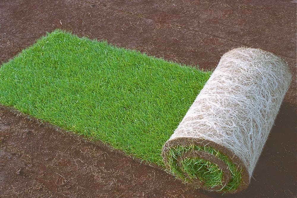 Wo man Natursteine kaufen kann: Qualität und Haltbarkeit