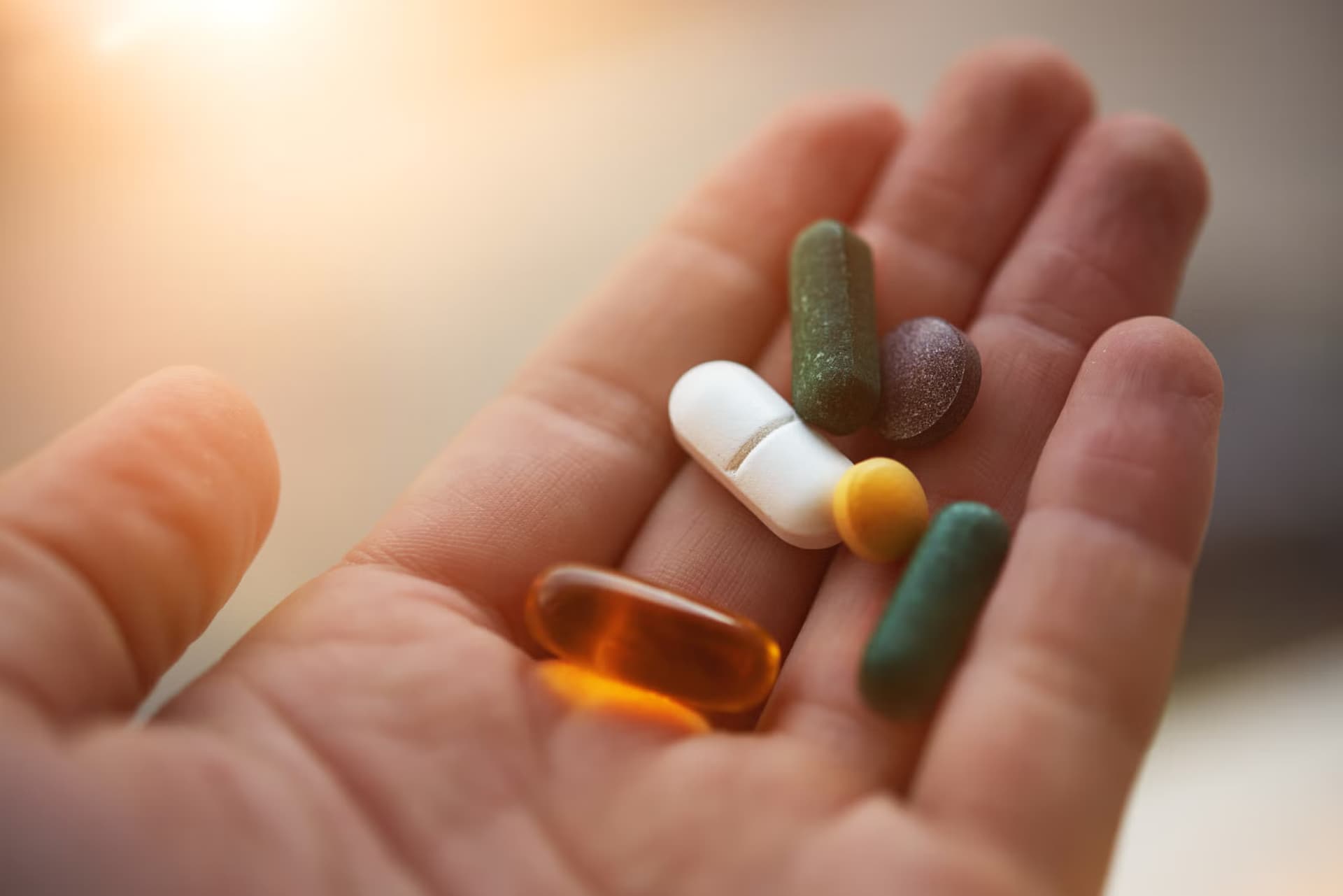 Sicher einkaufen bei Fitnesshaus24 – Hintergrundwissen über Muskelwirkung & Testosteron